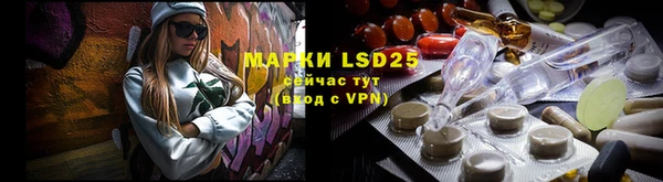 гидра Абаза