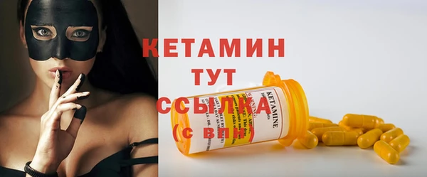 гидра Абаза