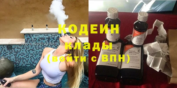 гидра Абаза
