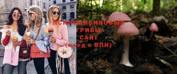 гидра Абаза