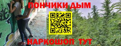 крисы Нягань