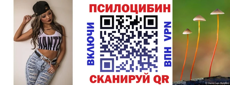 гидра как войти  Камышлов  Псилоцибиновые грибы Psilocybe 