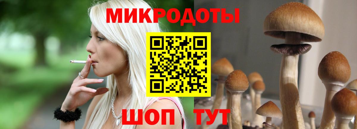 Галлюциногенные грибы Psilocybe Камышлов