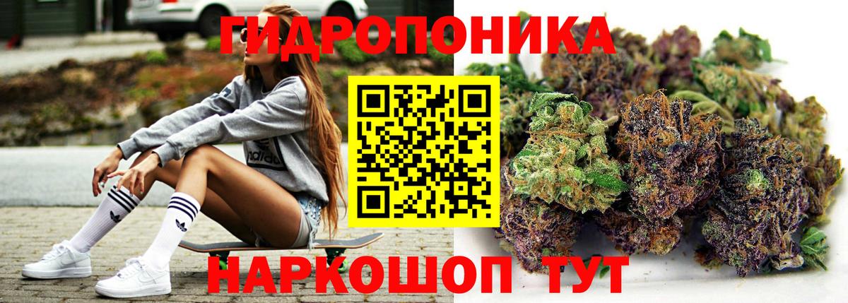 Камышлов  Конопля ГИДРОПОН  Вход с VPN  Бошки марихуана индика  Канабис Amnesia 